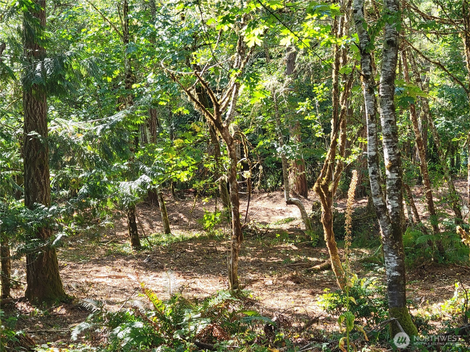 900 E Wilson Way , Grapeview, WA 98546