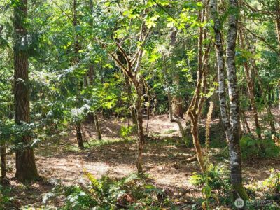 900 E Wilson Way , Grapeview, WA 98546 - Photo 24