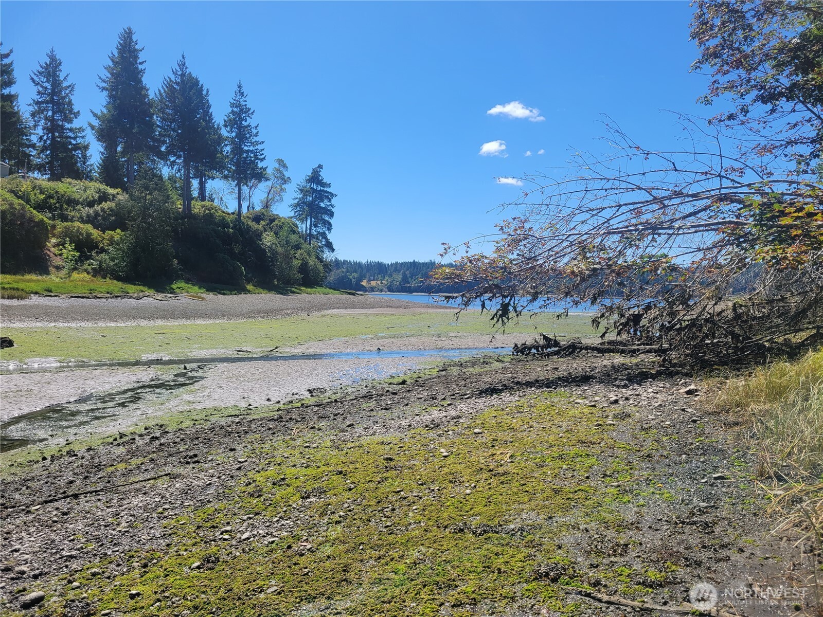 900 E Wilson Way , Grapeview, WA 98546