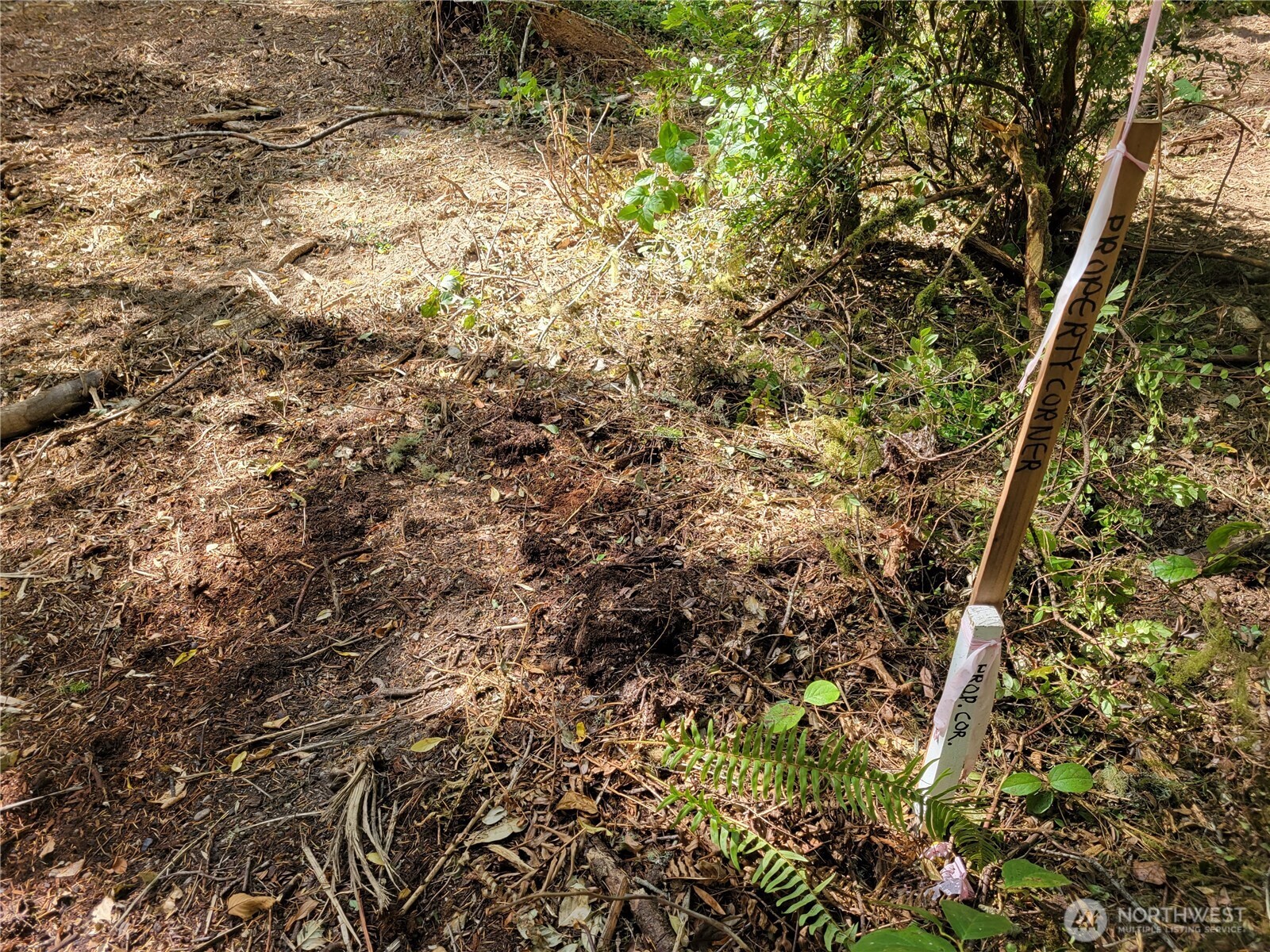 900 E Wilson Way , Grapeview, WA 98546