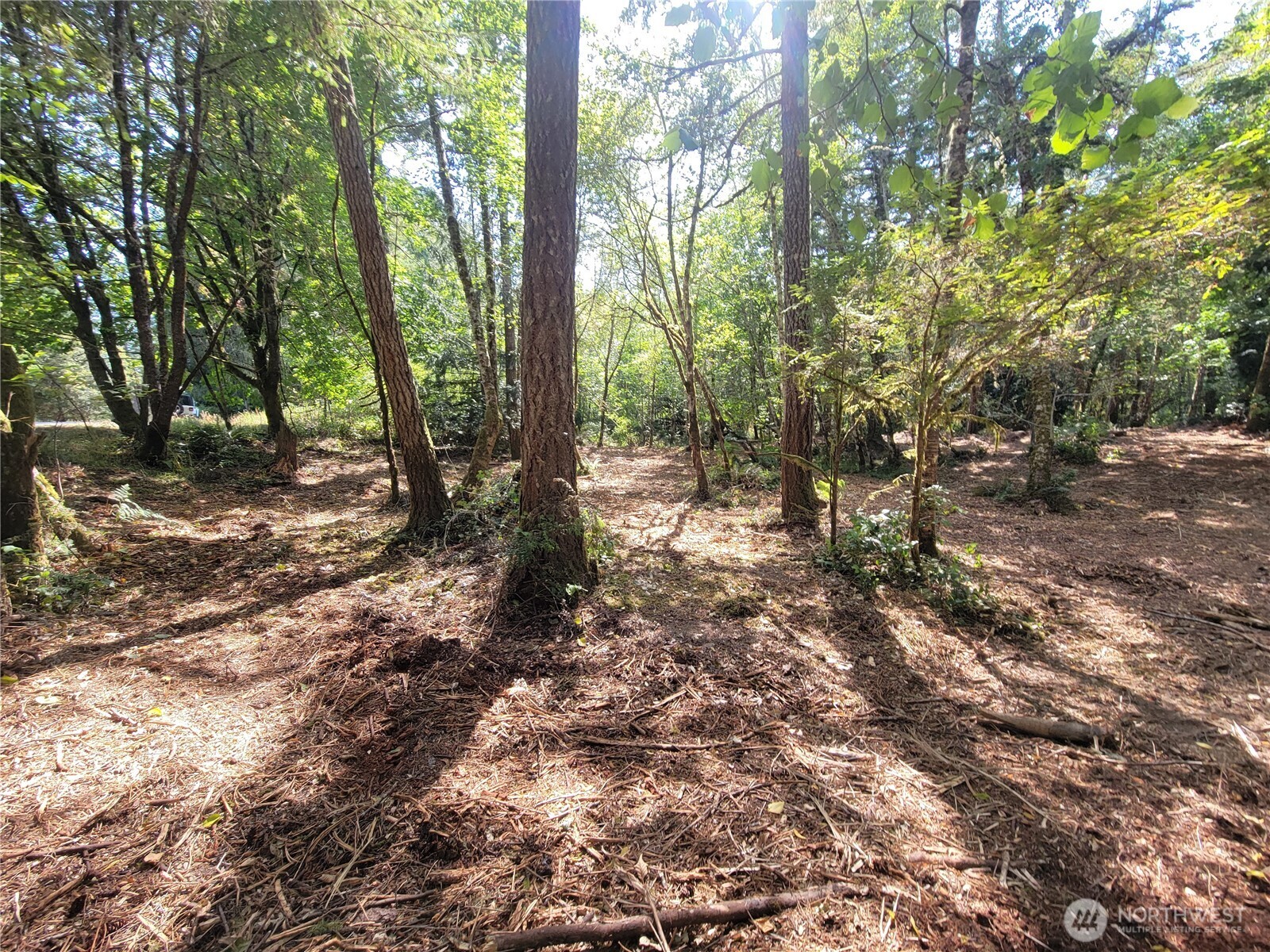 900 E Wilson Way , Grapeview, WA 98546