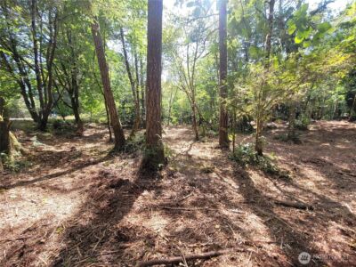 900 E Wilson Way , Grapeview, WA 98546 - Photo 7