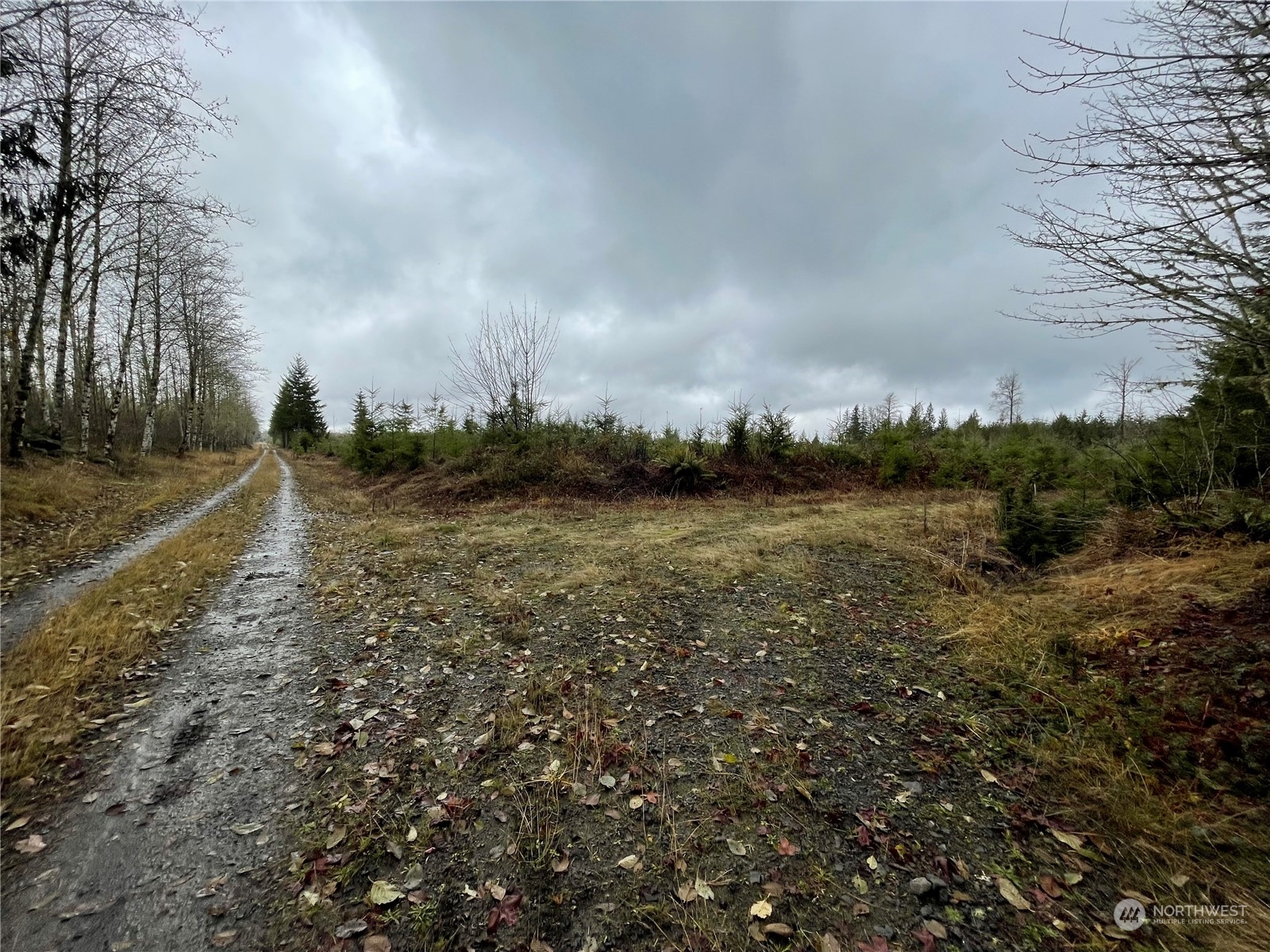 10 xx Oppelt Road , Onalaska, WA 98570