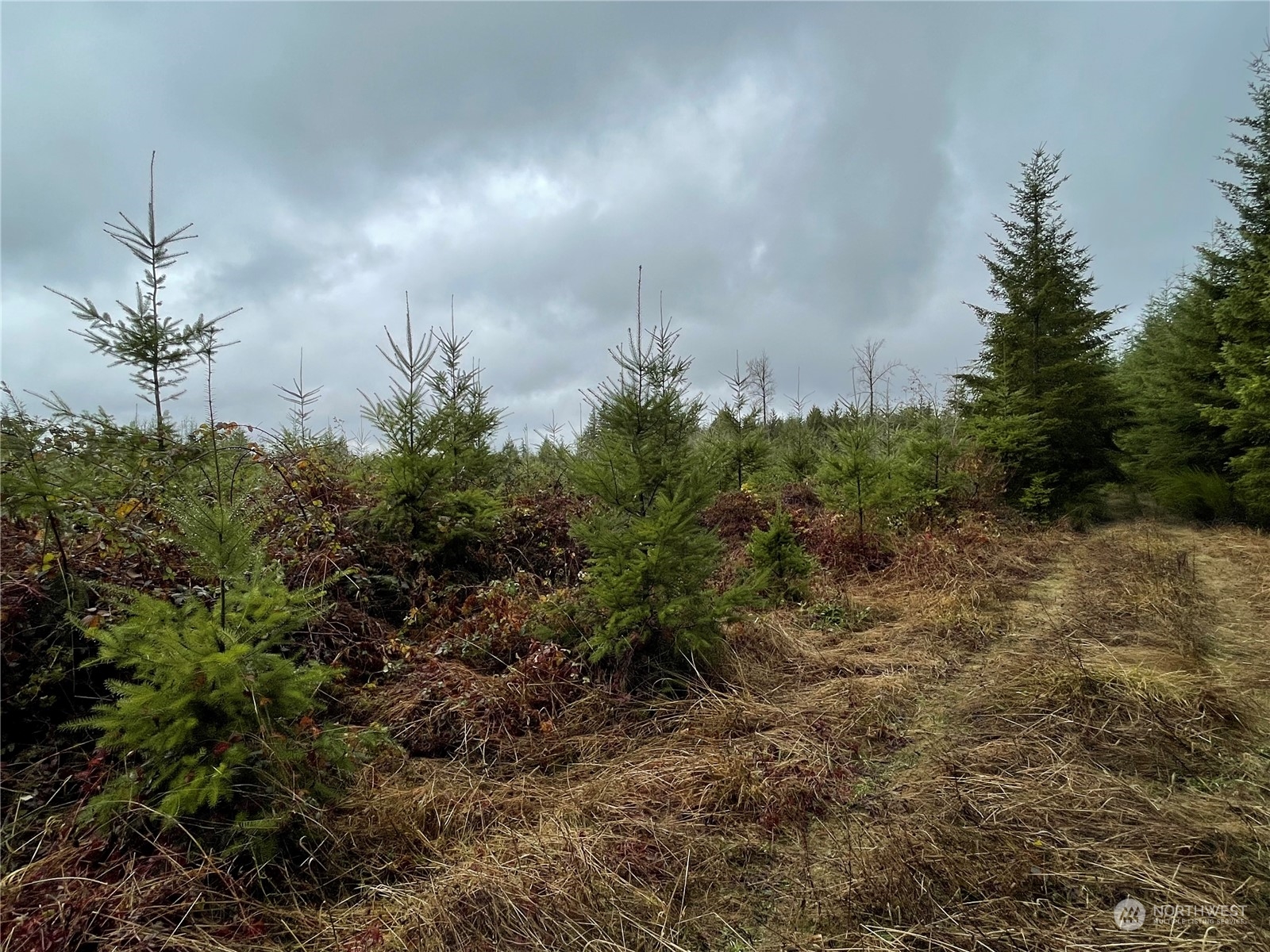 10 xx Oppelt Road , Onalaska, WA 98570