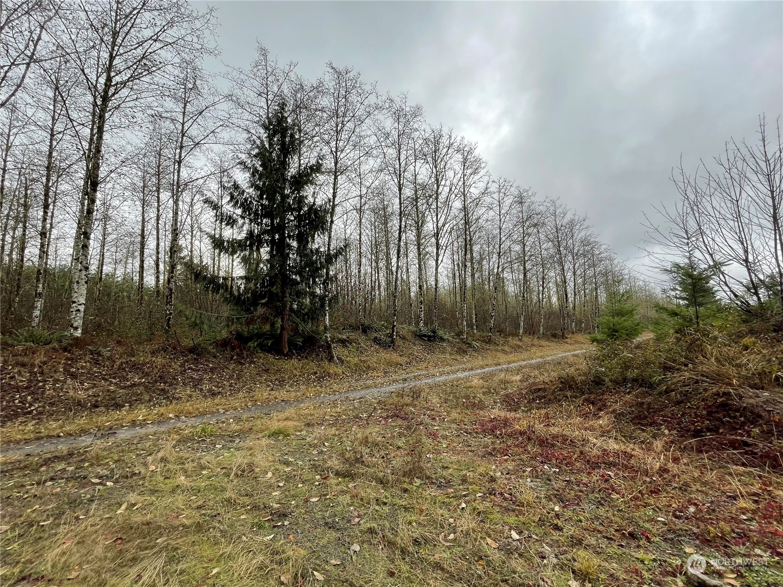 10 xx Oppelt Road , Onalaska, WA 98570