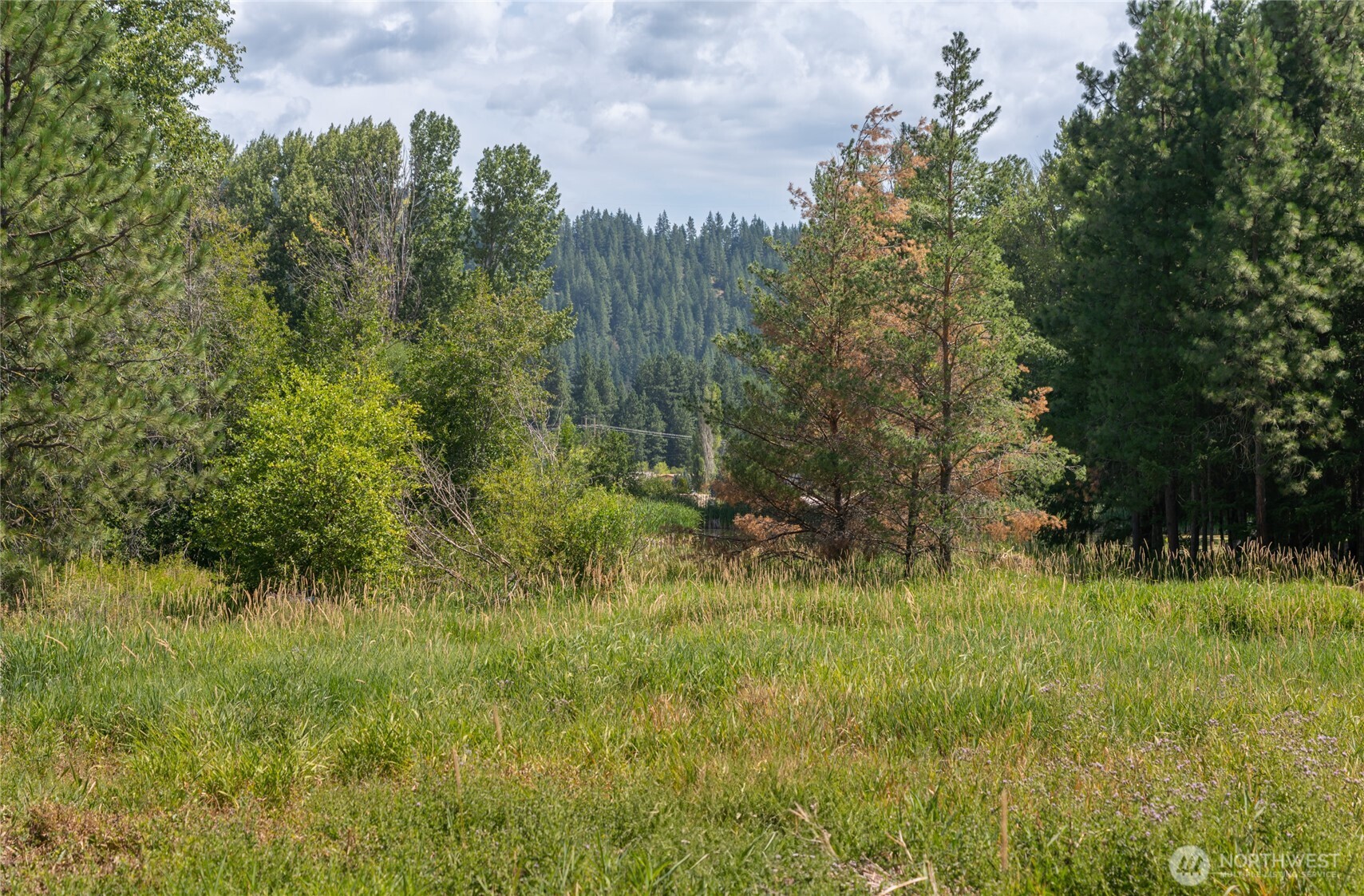 3 Lots Nelson Siding Road , Cle Elum, WA 98922