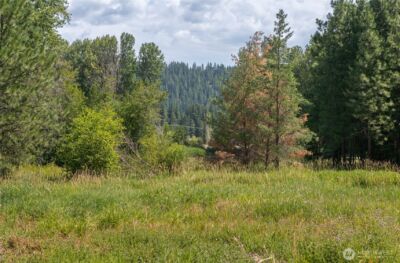 3 Lots Nelson Siding Road , Cle Elum, WA 98922 - Photo 11