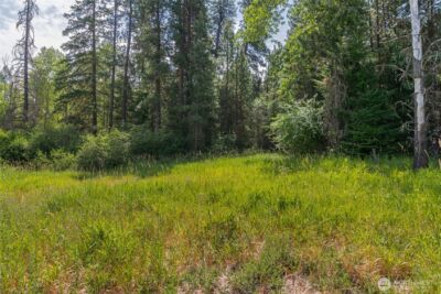 3 Lots Nelson Siding Road , Cle Elum, WA 98922 - Photo 12