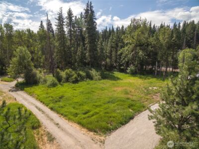 3 Lots Nelson Siding Road , Cle Elum, WA 98922 - Photo 17