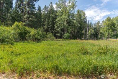 3 Lots Nelson Siding Road , Cle Elum, WA 98922 - Photo 7