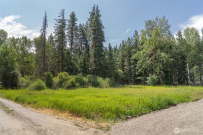 3 Lots Nelson Siding Road , Cle Elum, WA 98922 - Photo 8