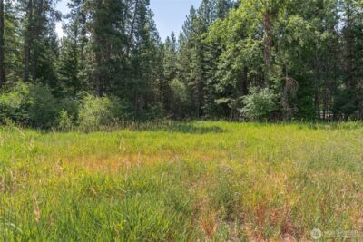3 Lots Nelson Siding Road , Cle Elum, WA 98922 - Photo 9