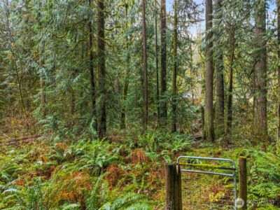 10618 Kelly Road NE, Carnation, WA 98014 - Photo 13