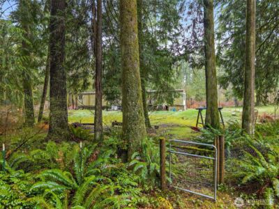 10618 Kelly Road NE, Carnation, WA 98014 - Photo 14