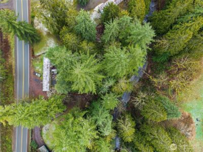 10618 Kelly Road NE, Carnation, WA 98014 - Photo 6