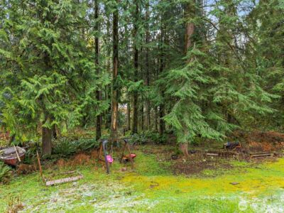 10618 Kelly Road NE, Carnation, WA 98014 - Photo 9