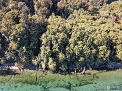 14801 13 Avenue Ct NW, Gig Harbor, WA 98332 - Photo 15