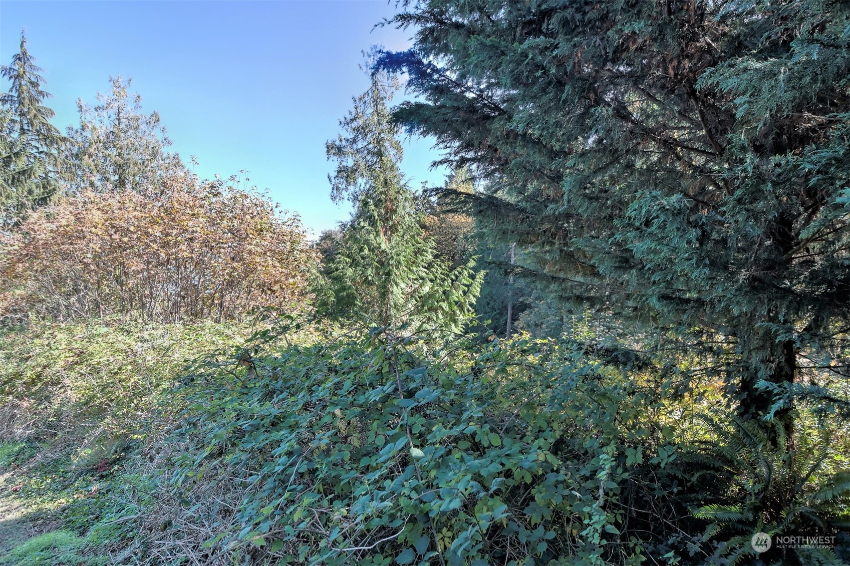 14801 13 Avenue Ct NW, Gig Harbor, WA 98332