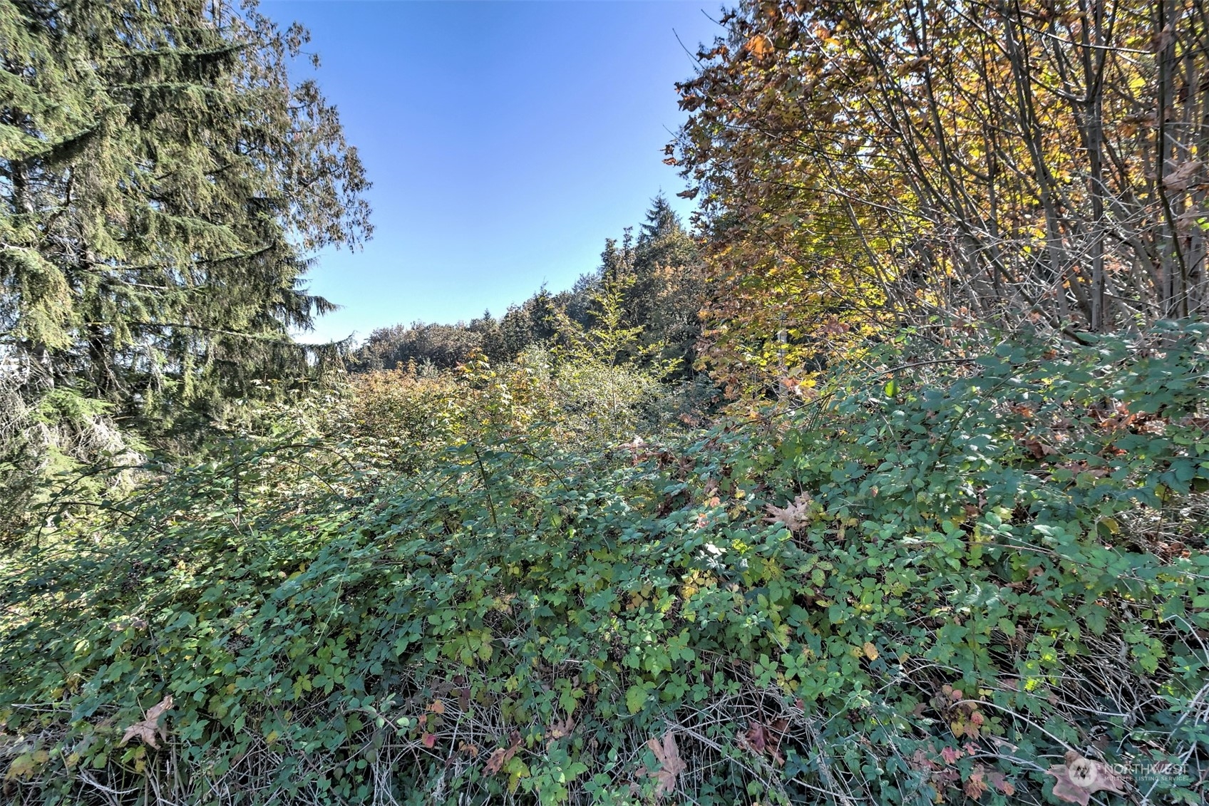 14801 13 Avenue Ct NW, Gig Harbor, WA 98332