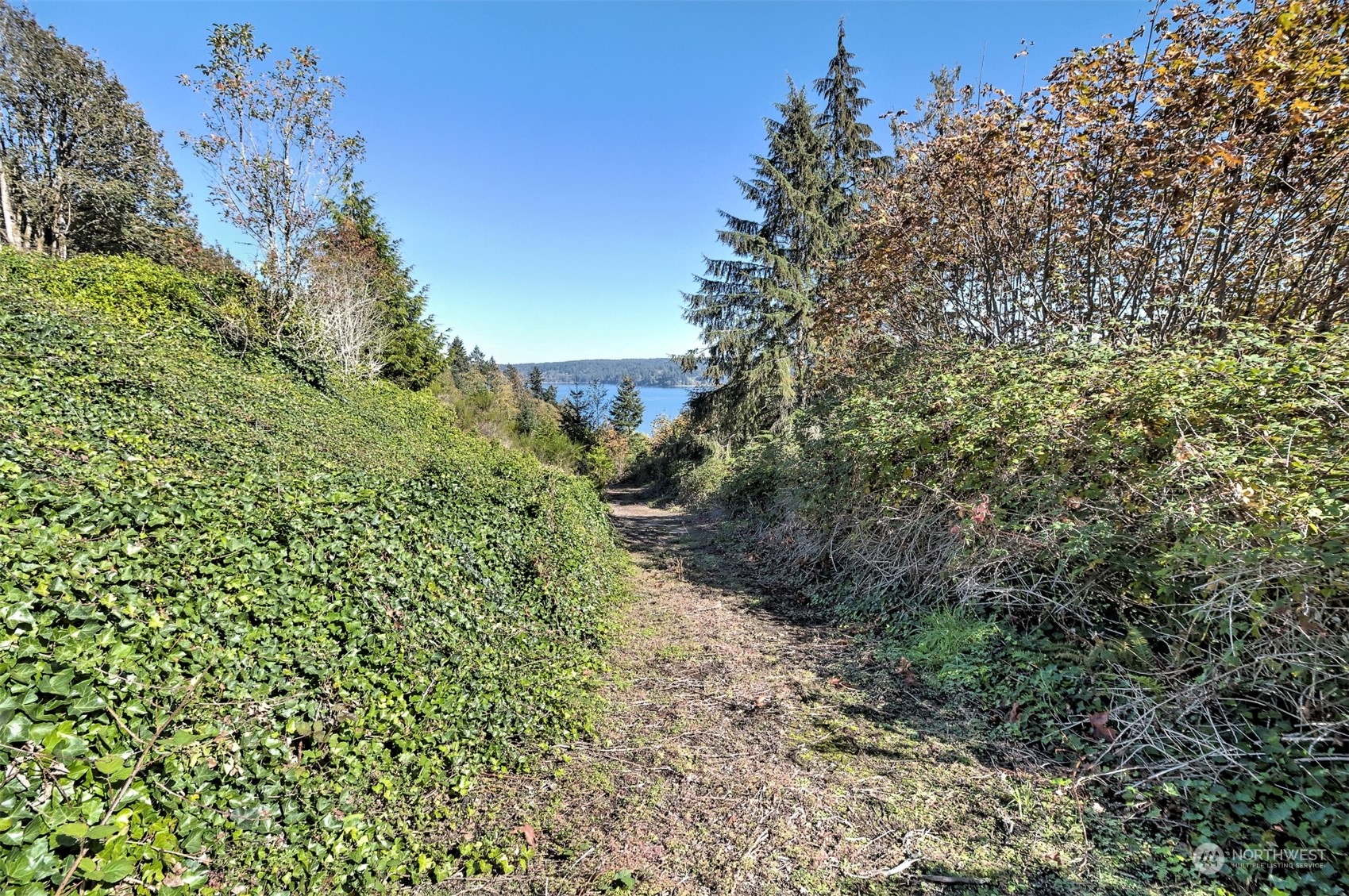 14801 13 Avenue Ct NW, Gig Harbor, WA 98332