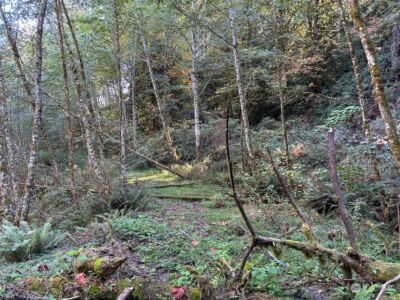 14801 13 Avenue Ct NW, Gig Harbor, WA 98332 - Photo 33