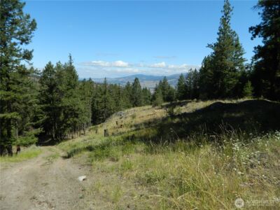 0 TBD Snowbunny Ridge Drive , Tonasket, WA 98855 - Photo 1