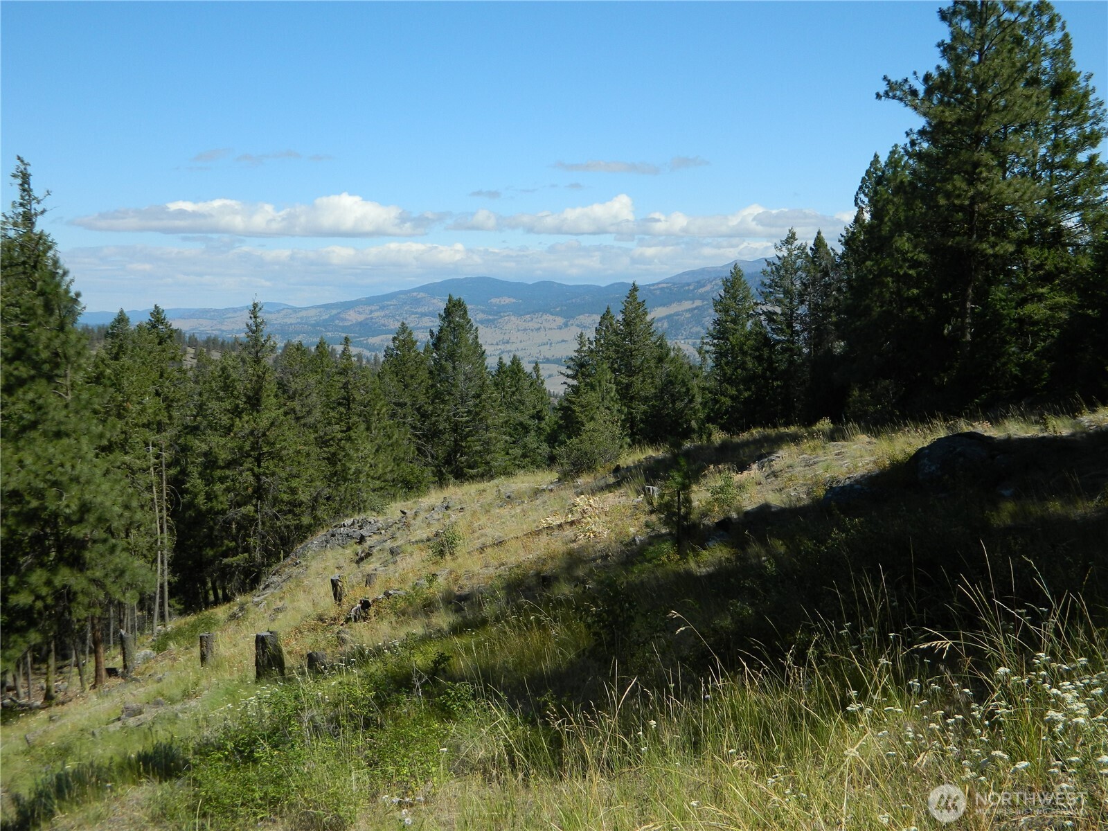 0 TBD Snowbunny Ridge Drive , Tonasket, WA 98855