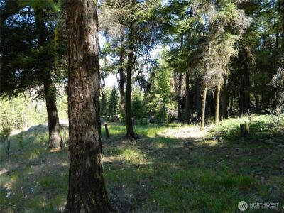 0 TBD Snowbunny Ridge Drive , Tonasket, WA 98855 - Photo 14