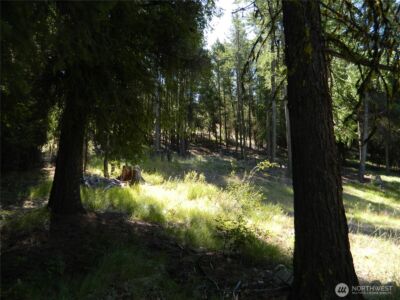 0 TBD Snowbunny Ridge Drive , Tonasket, WA 98855 - Photo 15