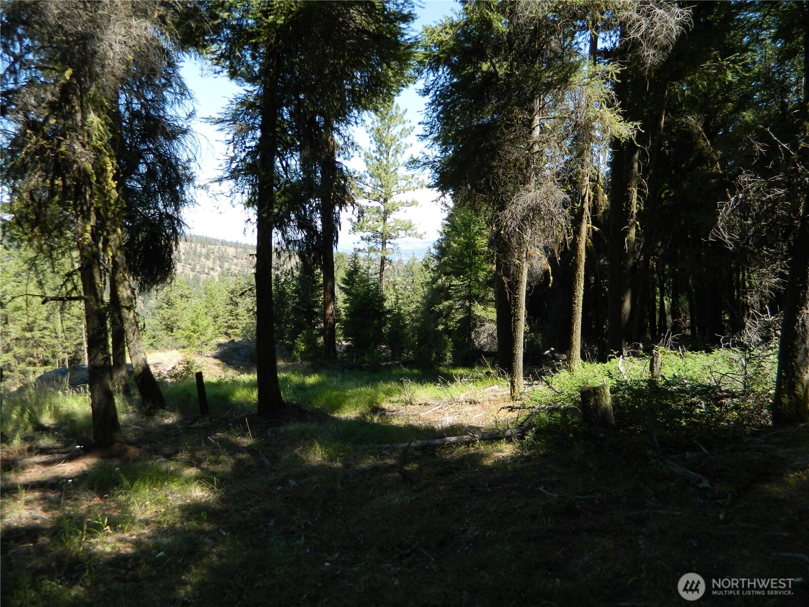 0 TBD Snowbunny Ridge Drive , Tonasket, WA 98855