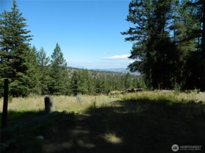 0 TBD Snowbunny Ridge Drive , Tonasket, WA 98855 - Photo 18