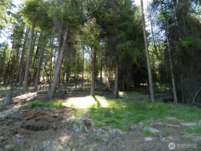 0 TBD Snowbunny Ridge Drive , Tonasket, WA 98855 - Photo 19