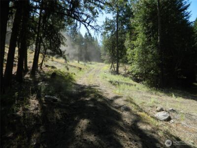 0 TBD Snowbunny Ridge Drive , Tonasket, WA 98855 - Photo 20
