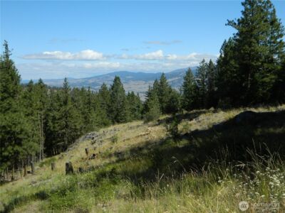 0 TBD Snowbunny Ridge Drive , Tonasket, WA 98855 - Photo 2