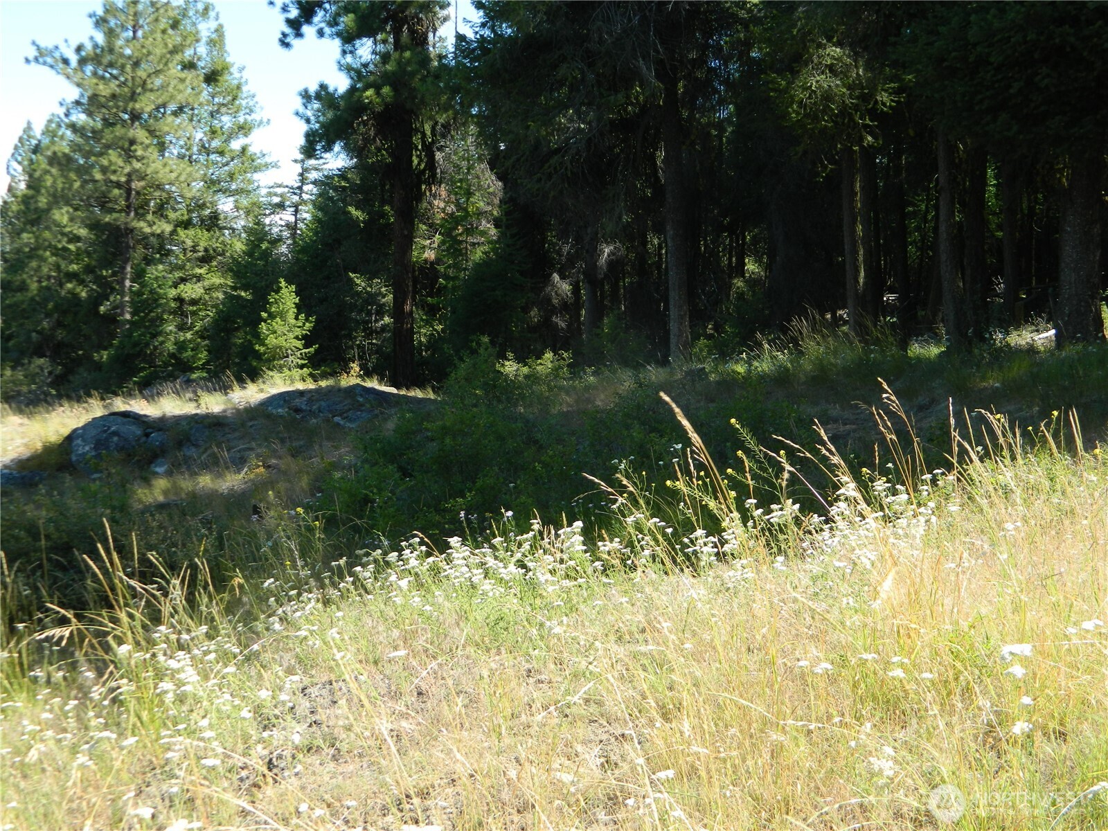 0 TBD Snowbunny Ridge Drive , Tonasket, WA 98855