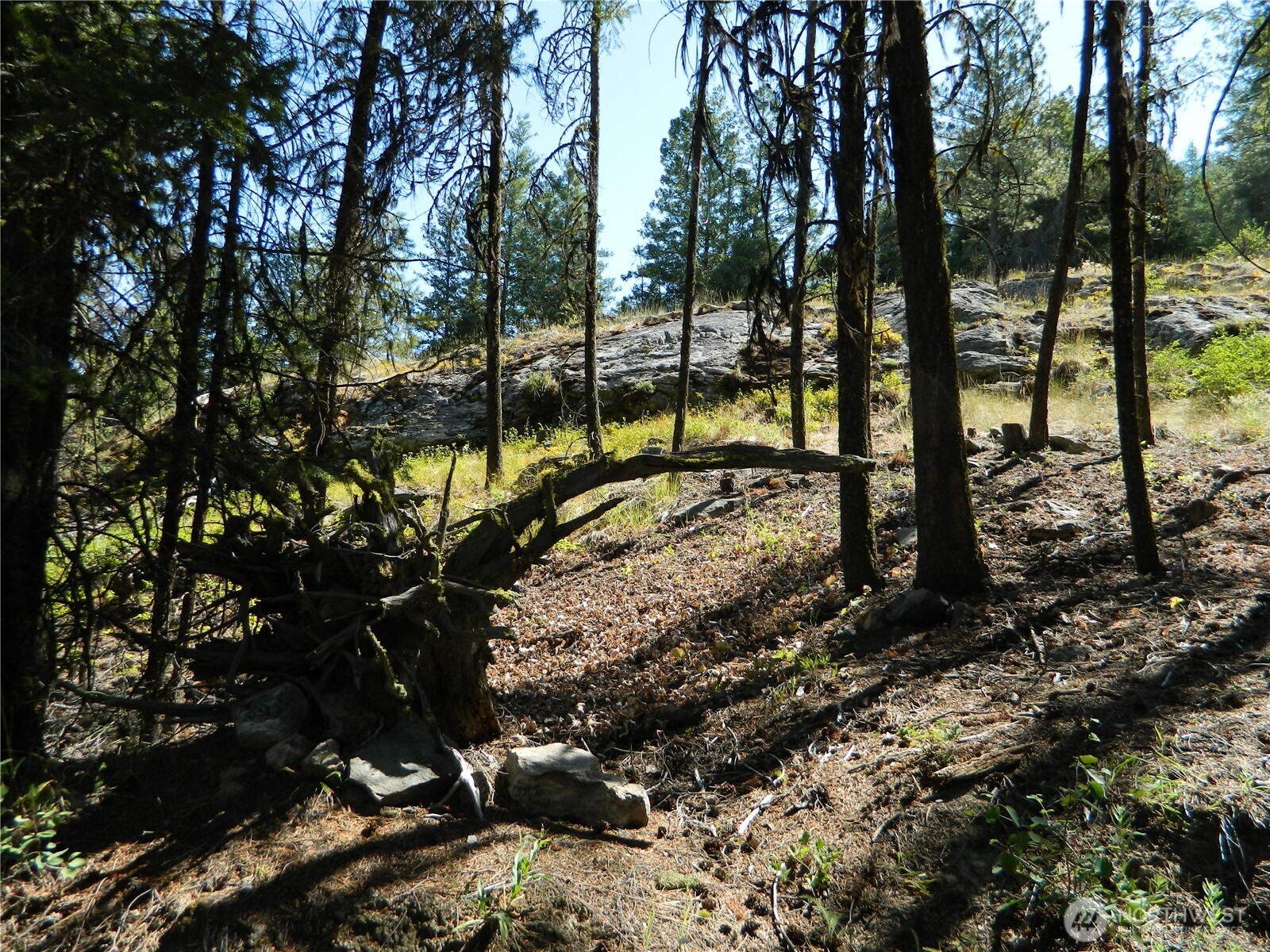 0 TBD Snowbunny Ridge Drive , Tonasket, WA 98855