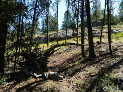 0 TBD Snowbunny Ridge Drive , Tonasket, WA 98855 - Photo 21