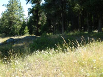 0 TBD Snowbunny Ridge Drive , Tonasket, WA 98855 - Photo 3
