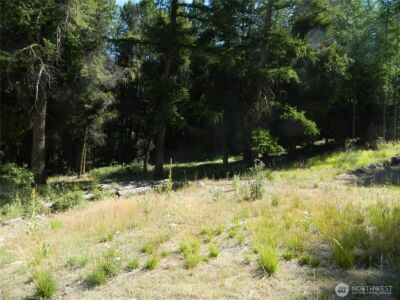 0 TBD Snowbunny Ridge Drive , Tonasket, WA 98855 - Photo 5