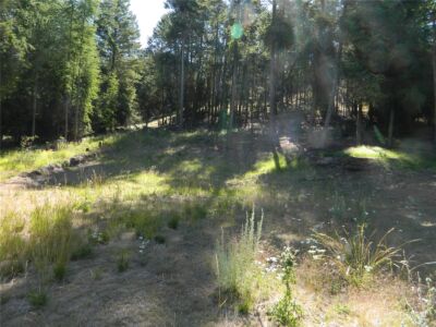 0 TBD Snowbunny Ridge Drive , Tonasket, WA 98855 - Photo 6