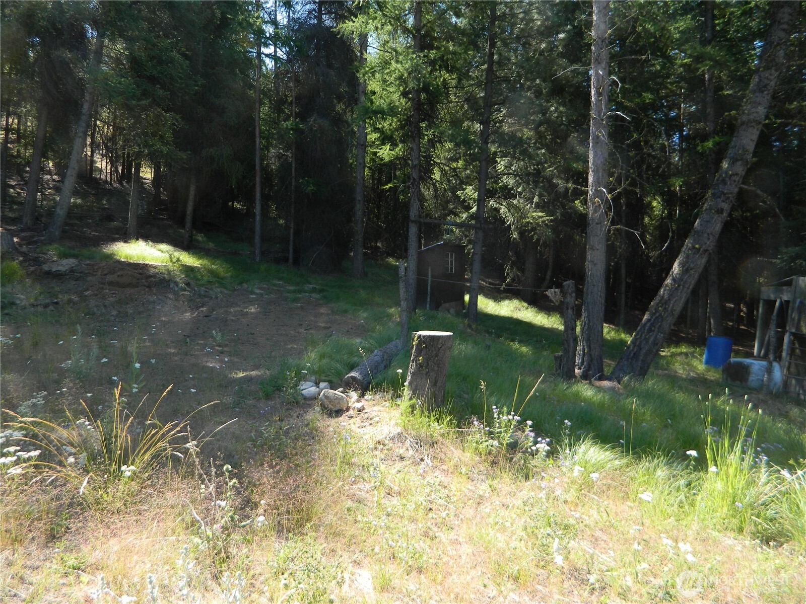 0 TBD Snowbunny Ridge Drive , Tonasket, WA 98855