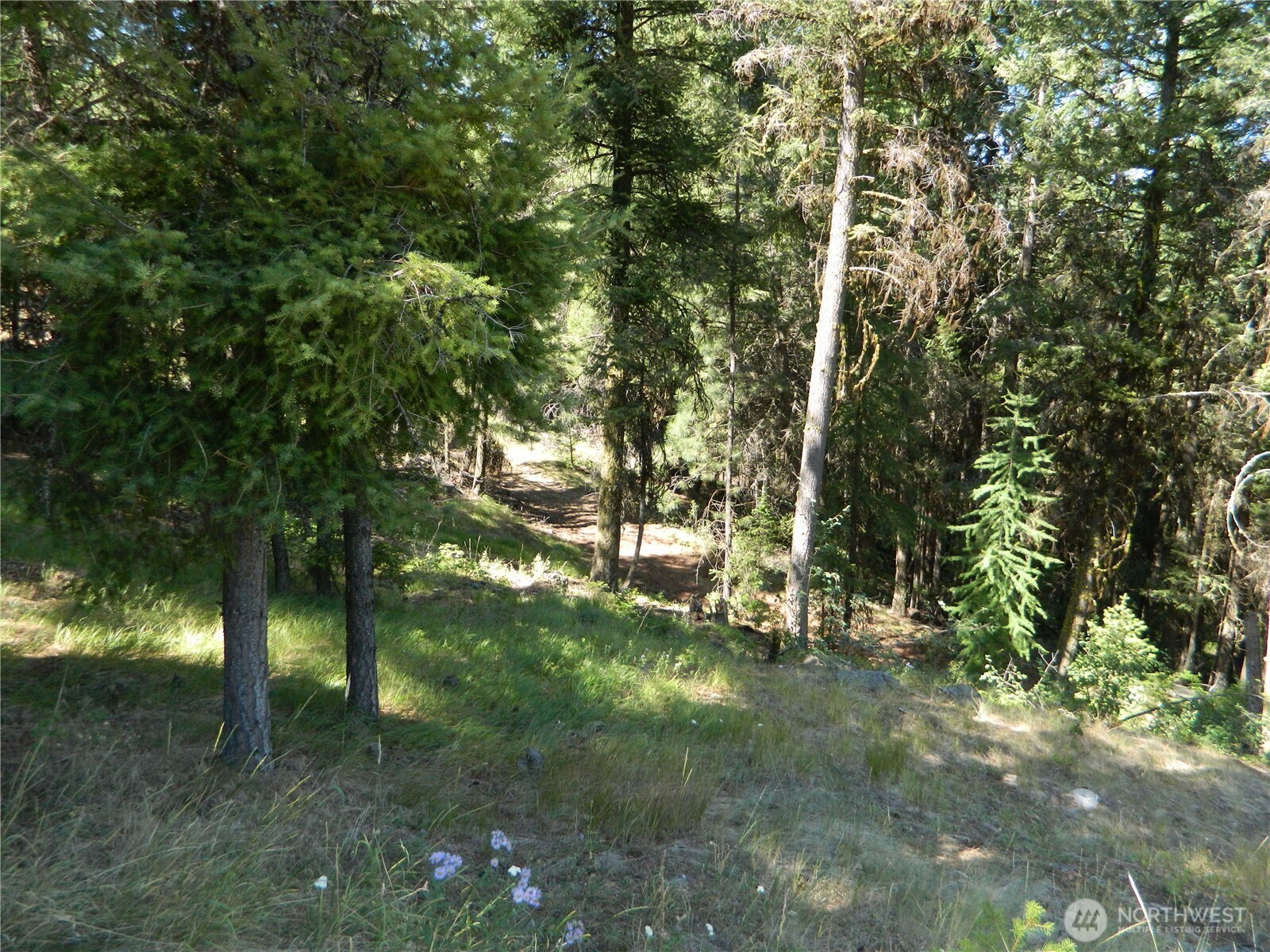0 TBD Snowbunny Ridge Drive , Tonasket, WA 98855