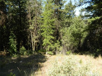 0 TBD Snowbunny Ridge Drive , Tonasket, WA 98855 - Photo 9