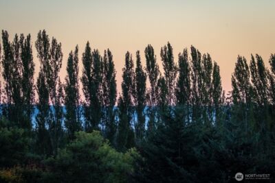 5427 Bayview Road , Langley, WA 98260 - Photo 37