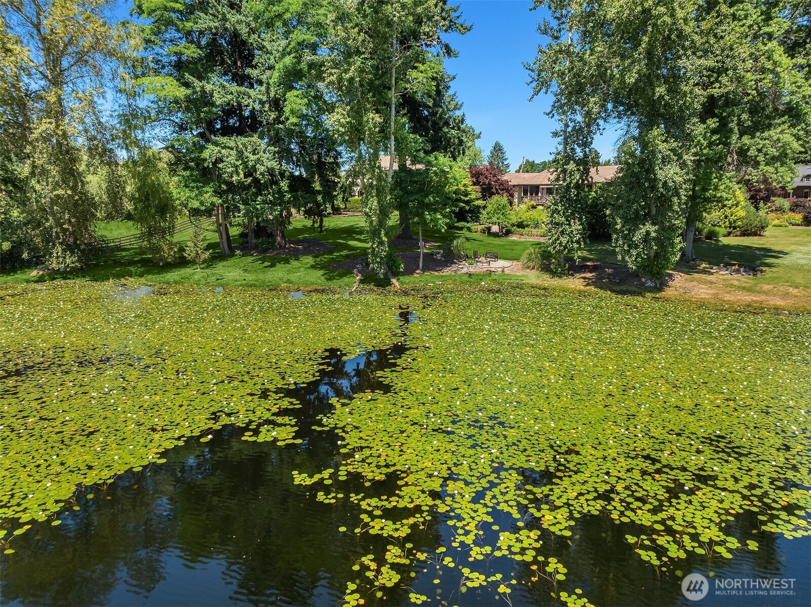 15805 SE 16th Street , Bellevue, WA 98008