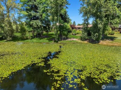 15805 SE 16th Street , Bellevue, WA 98008 - Photo 10