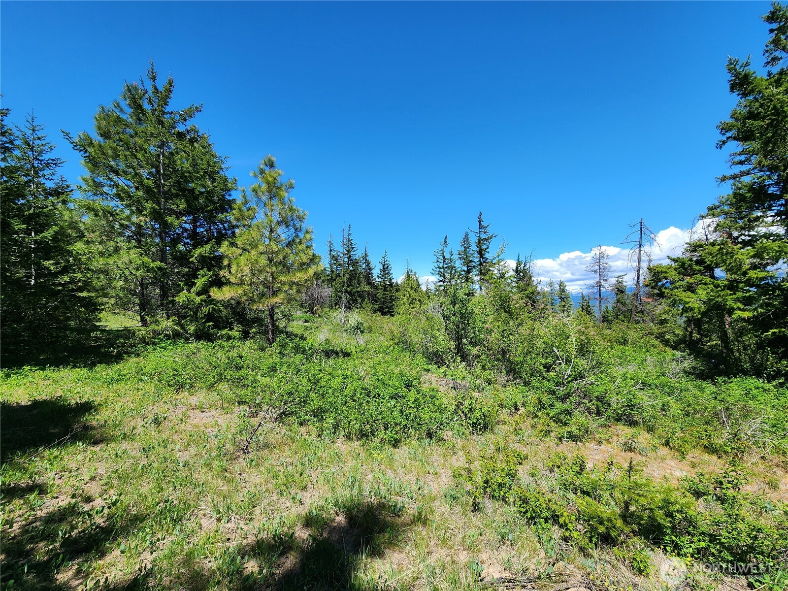 1 Black Hawk Drive , Cle Elum, WA 98922