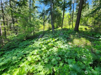 1 Black Hawk Drive , Cle Elum, WA 98922 - Photo 7