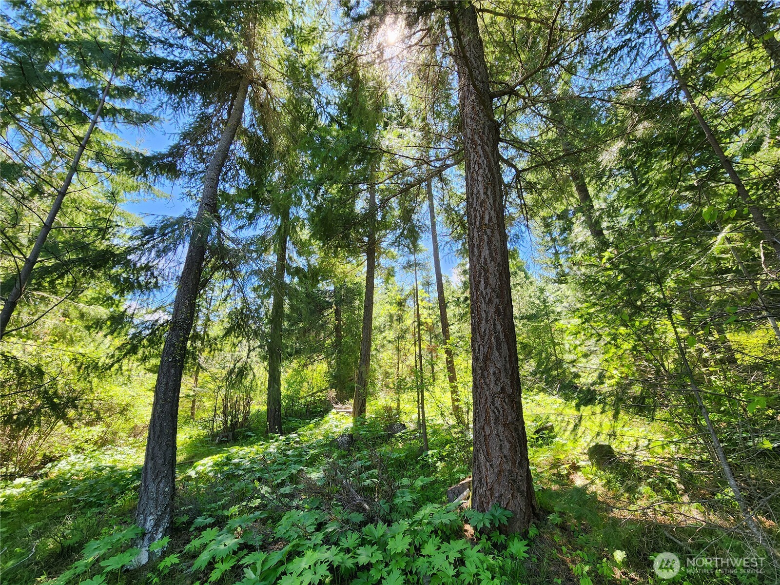 1 Black Hawk Drive , Cle Elum, WA 98922