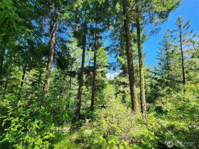 1 Black Hawk Drive , Cle Elum, WA 98922 - Photo 9